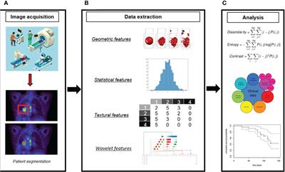 The role of artificial intelligence based on PET/CT radiomics in NSCLC: Disease management, opportunities, and challenges